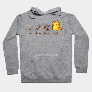 Counting Cats Hoodie